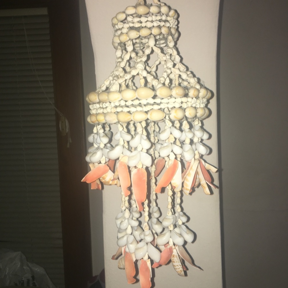 Sea shell decor